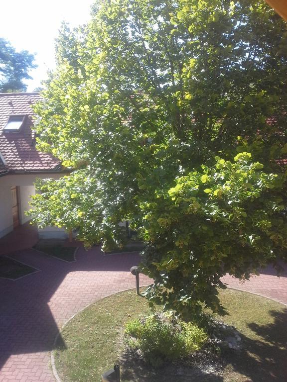 Apartment Nagelj Moravske-Toplice Buitenkant foto